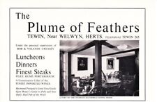 Tewin plume feathers for sale  HATFIELD