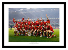 Wales rugby team for sale  FARNHAM