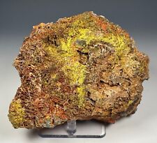 LARGE RICH CROCOITE & VAUQUELINITE SPECIMEN: CALLENBERG, SAXONY, GERMANY- RARE!!, used for sale  Shipping to South Africa
