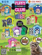 Puppy club best for sale  SCARBOROUGH