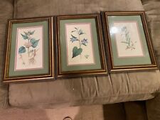 botanical prints framed for sale  West Chester