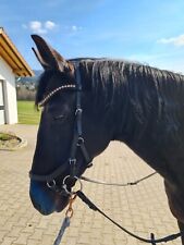 Horseware trensenzaum rambo gebraucht kaufen  Grafenwiesen