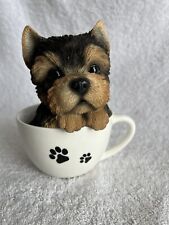 Polyresin teacup pups for sale  High Point