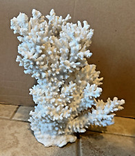 Natural coral sea for sale  Oxford