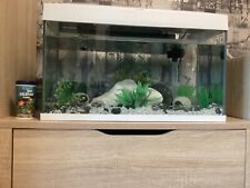 Fish tank small for sale  LIVERPOOL