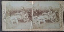 1889 stereoscopic view for sale  NOTTINGHAM