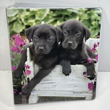 3 chocolate lab puppies for sale  Yorktown