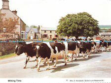 D146576 milking time. for sale  WARLINGHAM