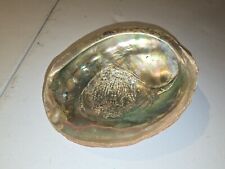 Abalone shell vintage for sale  Ogilvie