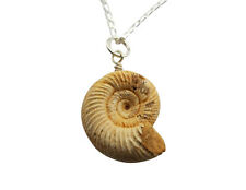 Elegant perisphinctes ammonite for sale  MANCHESTER