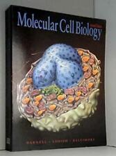 Usado, Molecular Cell Biology by Baltimore, David Paperback Book The Cheap Fast Free segunda mano  Embacar hacia Argentina