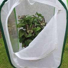Foldable insect cage for sale  Shipping to Ireland