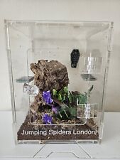 Jumping spider enclosure for sale  HORNCASTLE