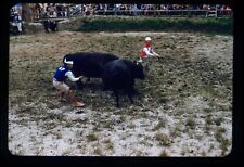 c1950 Naha Regatta Bulls Fighting Japan Red Boarder Kodachrome 1, usado comprar usado  Enviando para Brazil