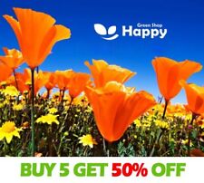 californian poppy perfume for sale  DONCASTER