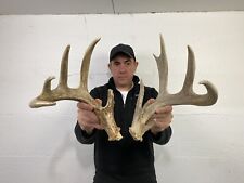 deer antler sheds for sale  Delphos