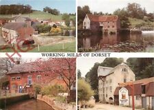 Picture postcard dorset for sale  NEWCASTLE UPON TYNE