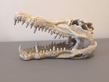 Deco skull crocodile. for sale  DARTFORD