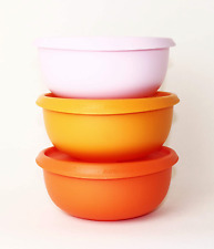 tupperware boite gourmande d'occasion tupperware boite gourmande d'occasion France