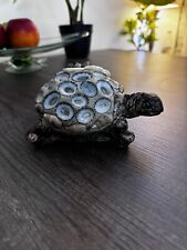 shell turtle concrete for sale  Las Vegas