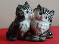 Beswick persian kittens for sale  DURSLEY