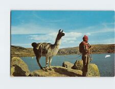 Postal Lago Titicaca Bolivia América del Sur segunda mano  Embacar hacia Argentina