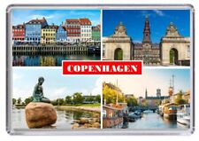 Copenhagen denmark fridge for sale  ROTHERHAM