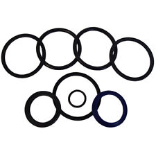 Cylinder seal kit for sale  Lansing