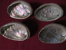 coquillage abalone d'occasion  France