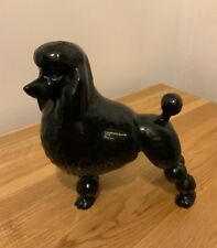 Black standard poodle for sale  WASHINGTON