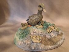Mallard duck ducklings for sale  SIDCUP