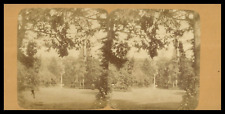 Versailles parc ca.1870 d'occasion  Pagny-sur-Moselle