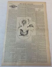 1888 magazine article for sale  Wilmington