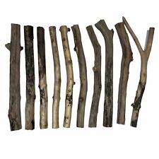 10x beach driftwood for sale  BRISTOL