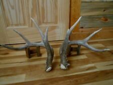 Clean 4x4 whitetail for sale  Florence