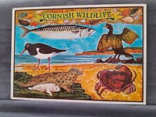 Cornish wildlife 24253 for sale  MAIDSTONE