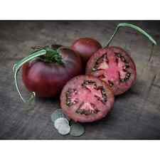 Black tula tomato for sale  Julian