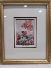flower fairies cicely mary barker for sale  Shipping to Ireland
