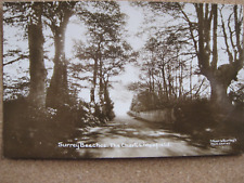 Surrey Beeches, The Chart, Limpsfield, Surrey (pocztówka fotograficzna) na sprzedaż  Wysyłka do Poland