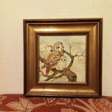 Barn owl bird for sale  BOURNEMOUTH
