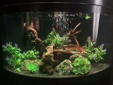 Tropical fish tank. for sale  DOVER