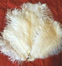 White ostrich feathers for sale  Stillwater