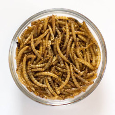 Premium dried mealworms for sale  Shipping to Ireland