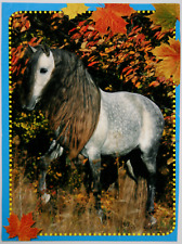 Dünne pferd postkarte gebraucht kaufen  Langen