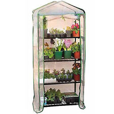 Shelves tier greenhouse for sale  OMAGH