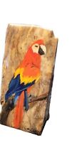 Macaw painted stone for sale  Paso Robles