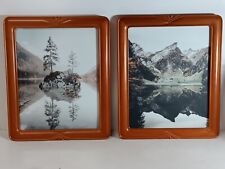Pair framed picture for sale  Joliet
