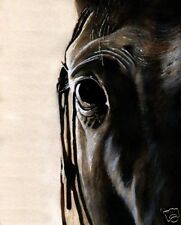 Giclee print thoroughbred for sale  Columbia