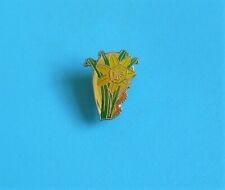 Daffodil stud pin for sale  ILFRACOMBE