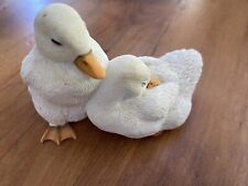 Sherratt simpson ducklings for sale  Wilmington